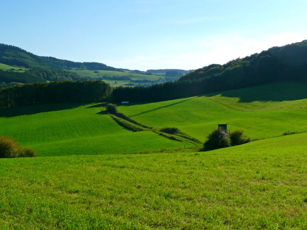 Wiese in der Eifel, Foto: Gabi Schönemann, pixelio.de