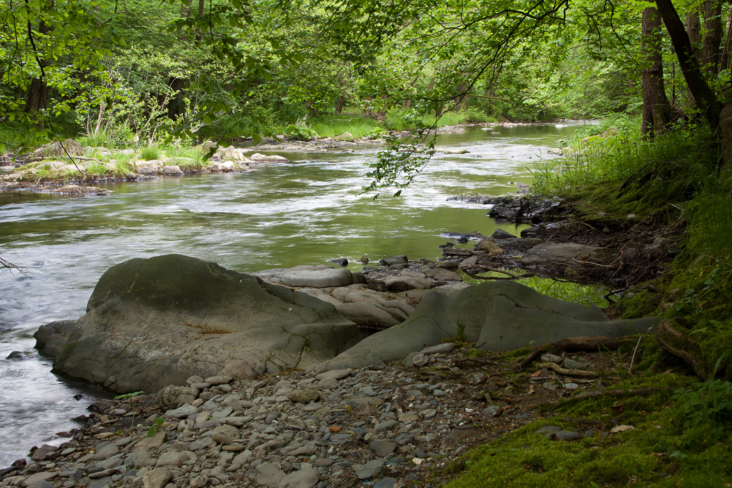 natürliche Flusslandschaft